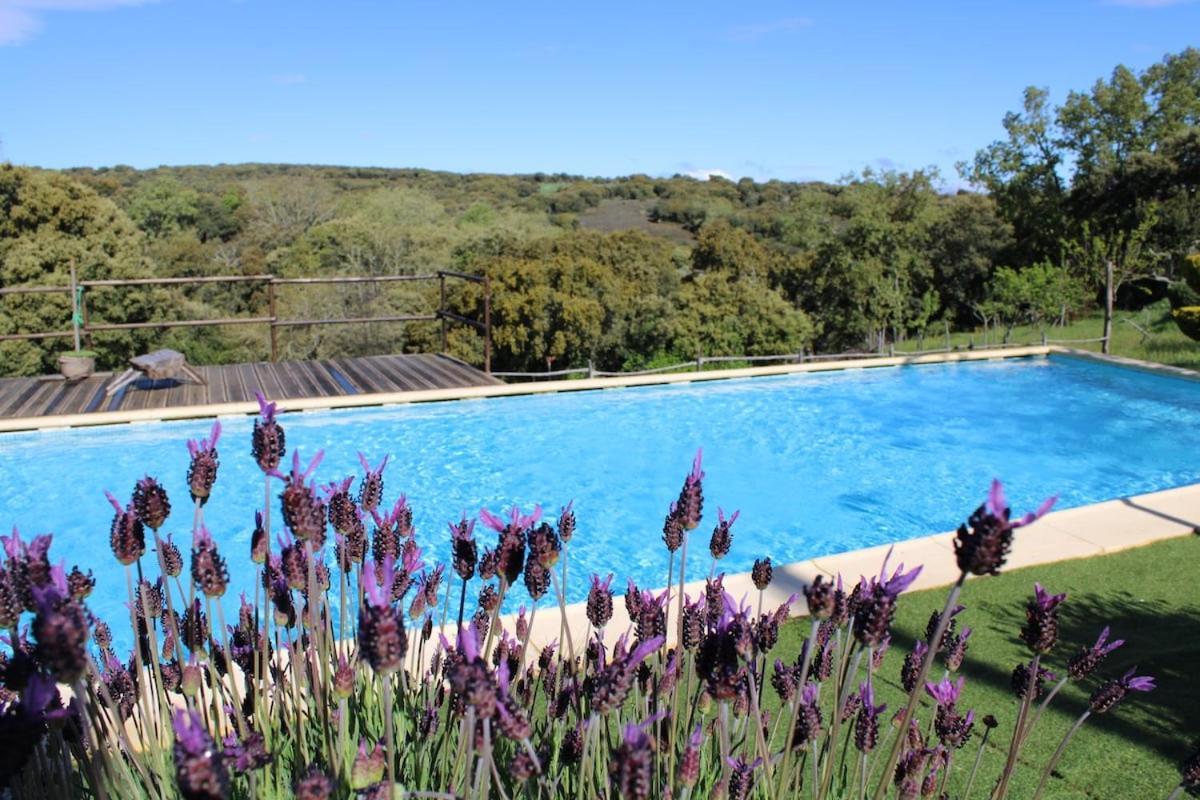 Quinta Da Devesa -B2 Hotel Vinhais Buitenkant foto